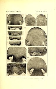 n364_w1150