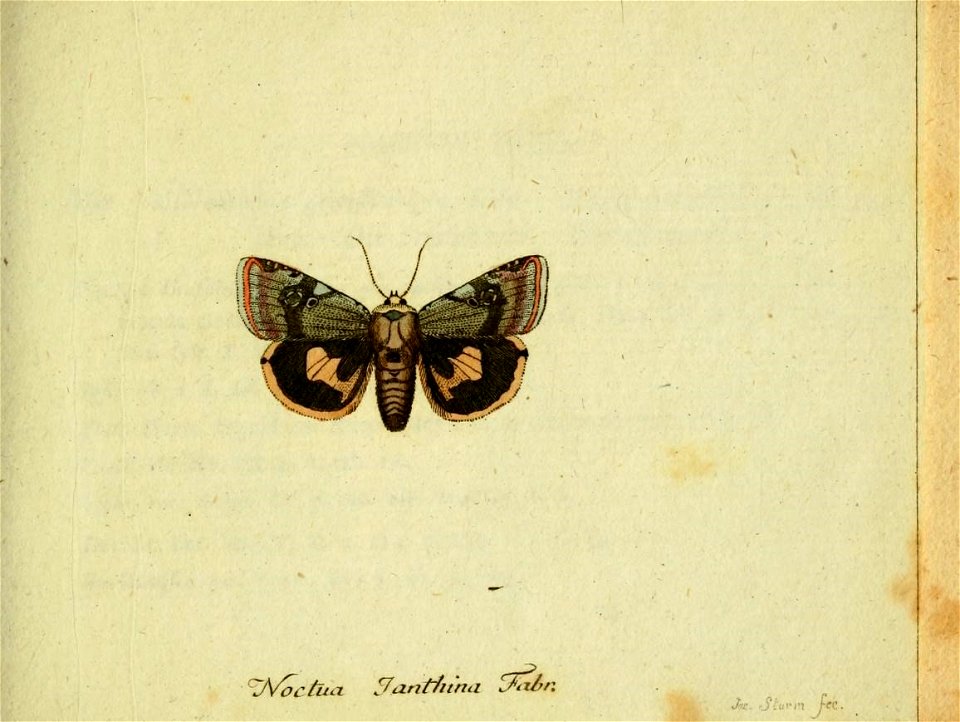 n594_w1150