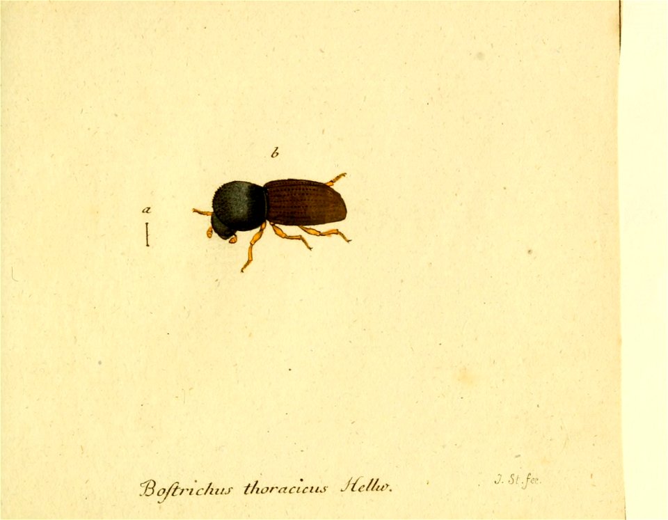 n374_w1150