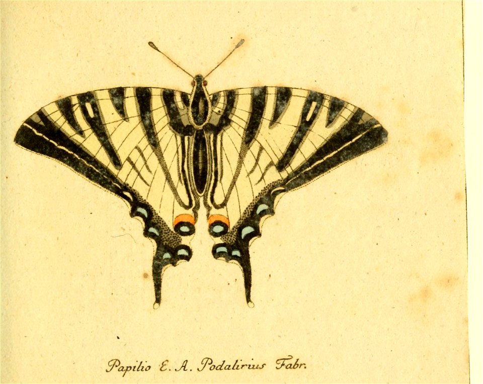 n598_w1150