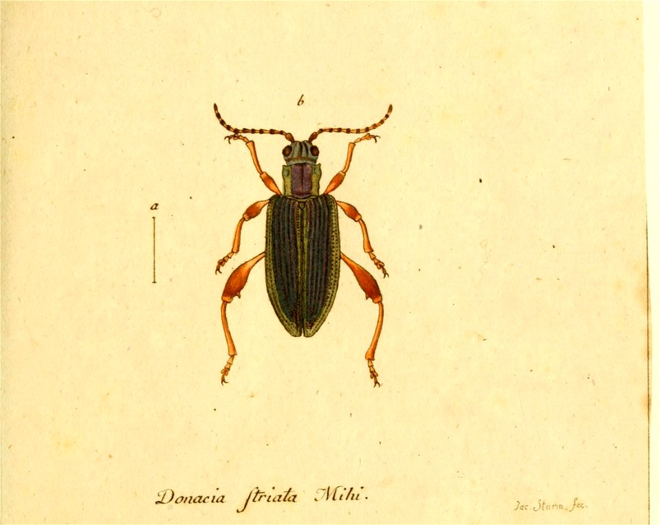n406_w1150