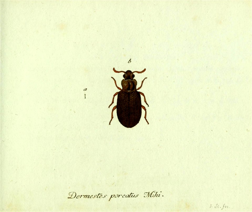 n432_w1150