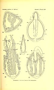 n622_w1150