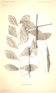 n5_w1150