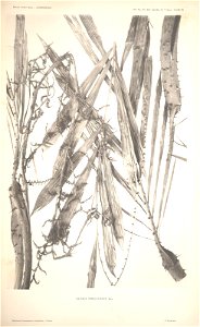 n62_w1150