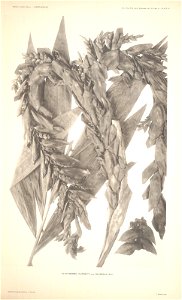 n18_w1150