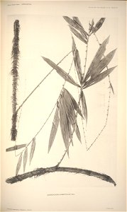 n81_w1150