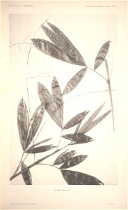 n15_w1150