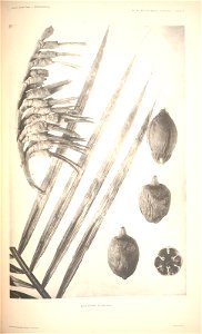 n122_w1150