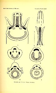 n592_w1150