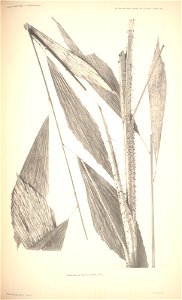 n107_w1150