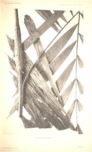 n77_w1150
