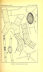 n398_w1150