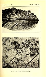 n228_w1150