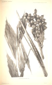 n106_w1150