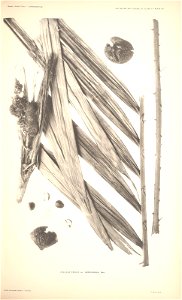 n46_w1150