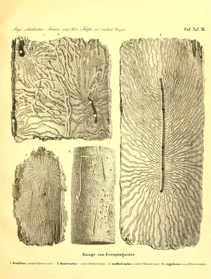 n304_w1150