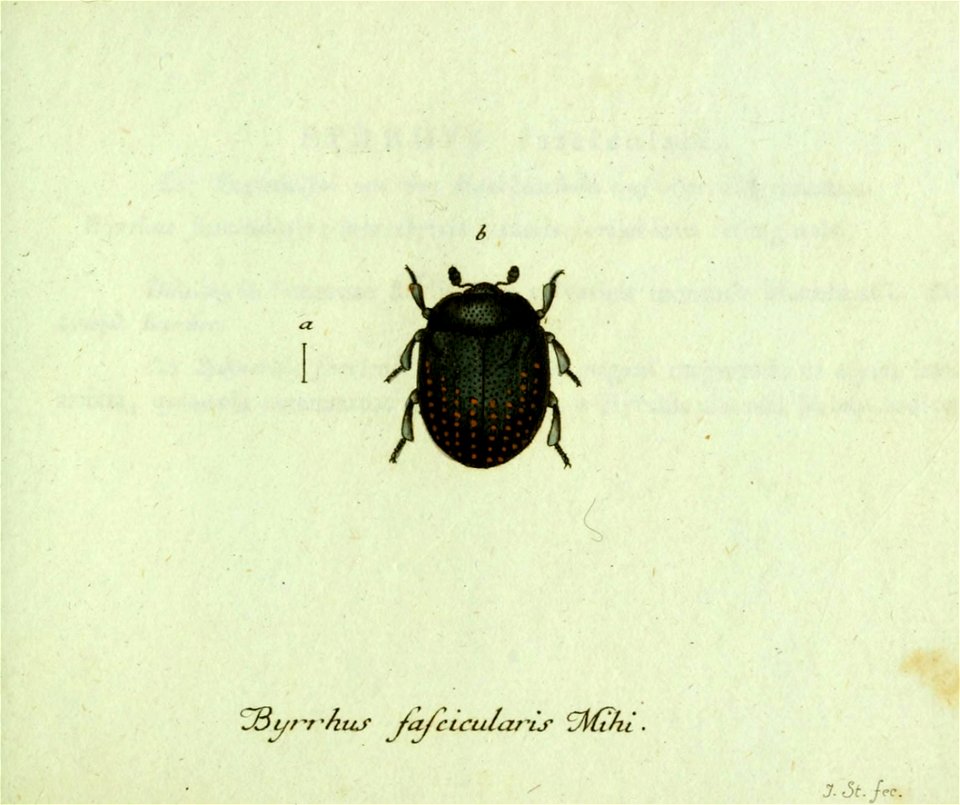 n508_w1150