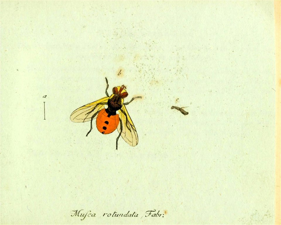 n176_w1150