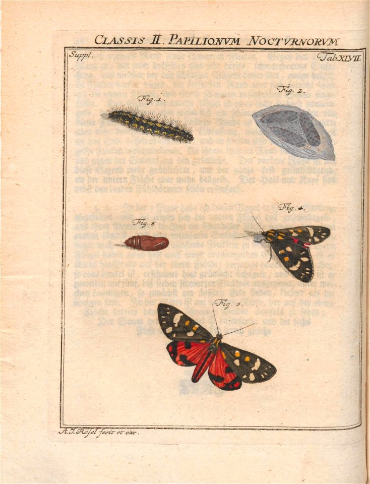 n369_w1150