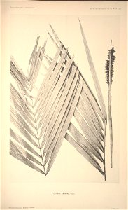 n236_w1150