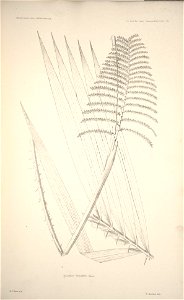 n101_w1150