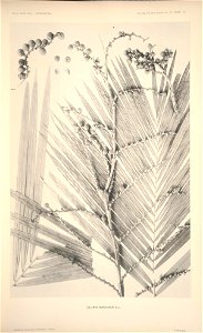 n20_w1150