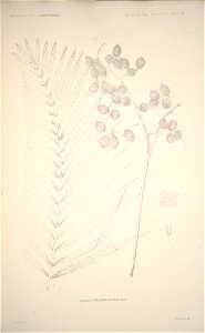 n129_w1150