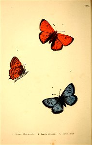n145_w1150