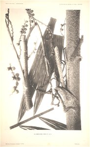n59_w1150