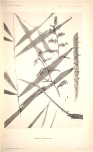 n44_w1150