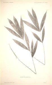 n14_w1150