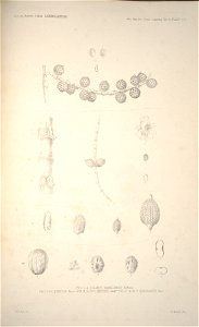 n233_w1150
