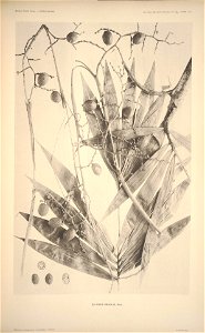 n128_w1150
