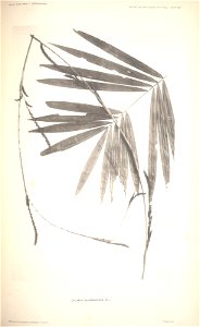n73_w1150