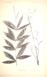 n58_w1150