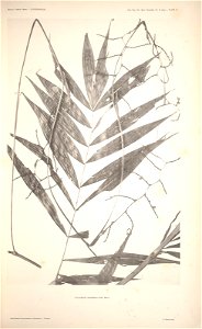 n13_w1150