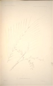 n187_w1150