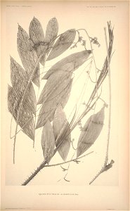 n142_w1150