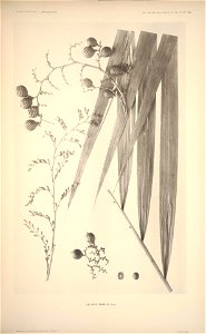 n127_w1150