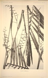 n112_w1150