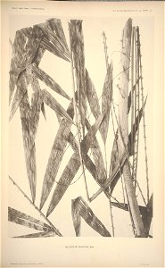 n52_w1150