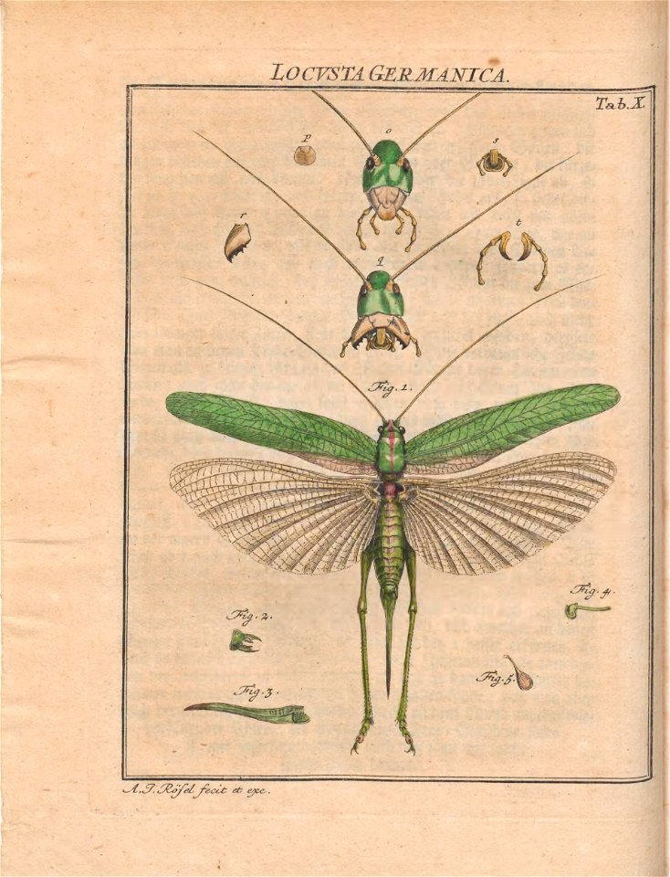 n423_w1150