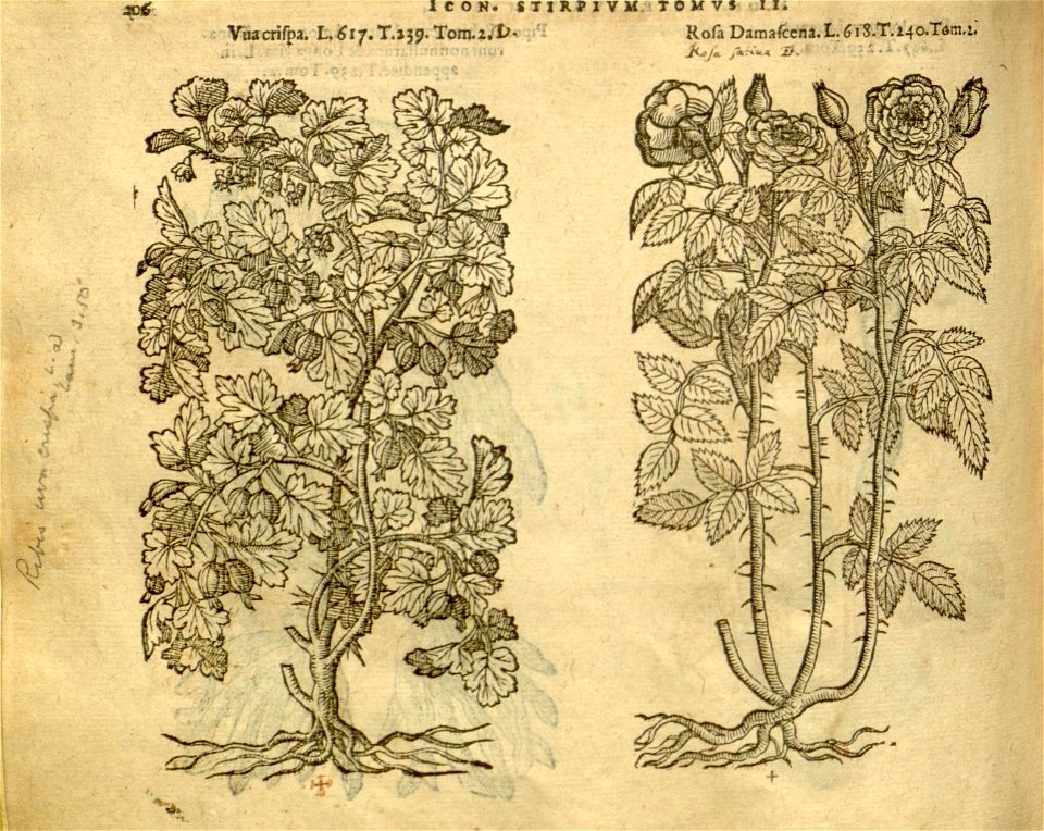 n1028_w1150