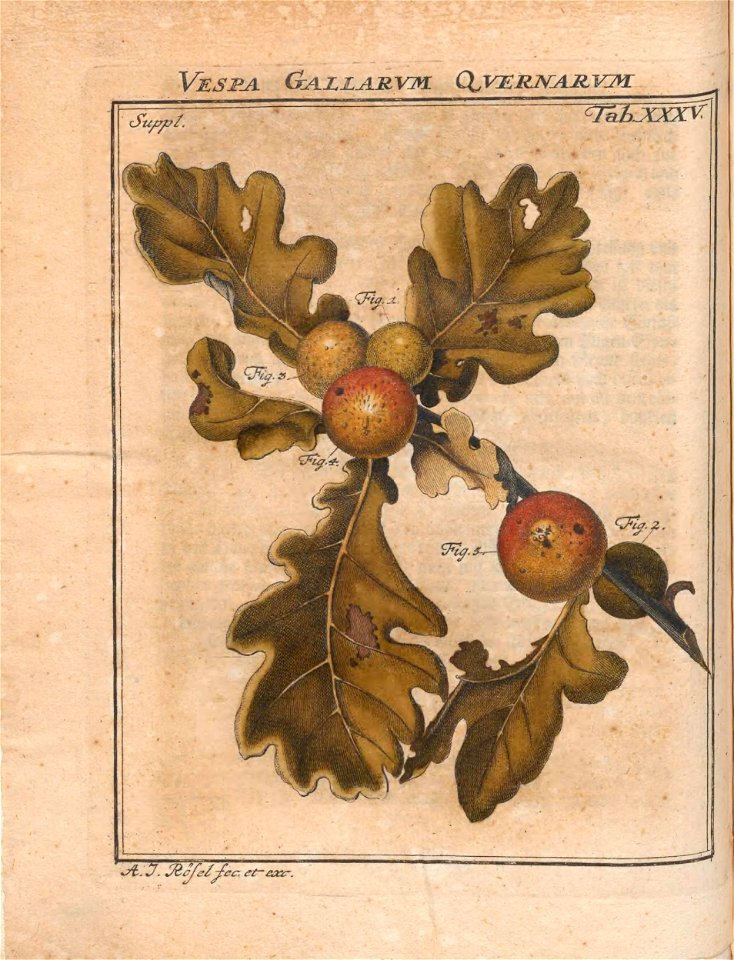 n293_w1150