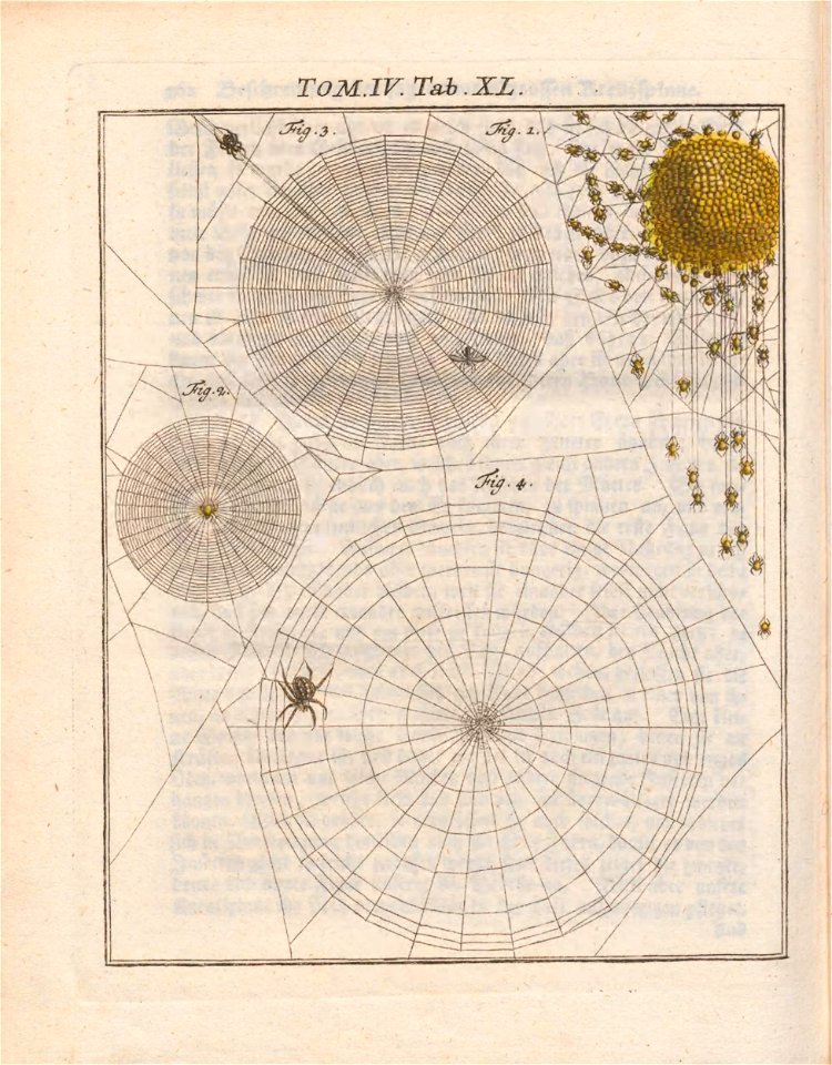 n407_w1150