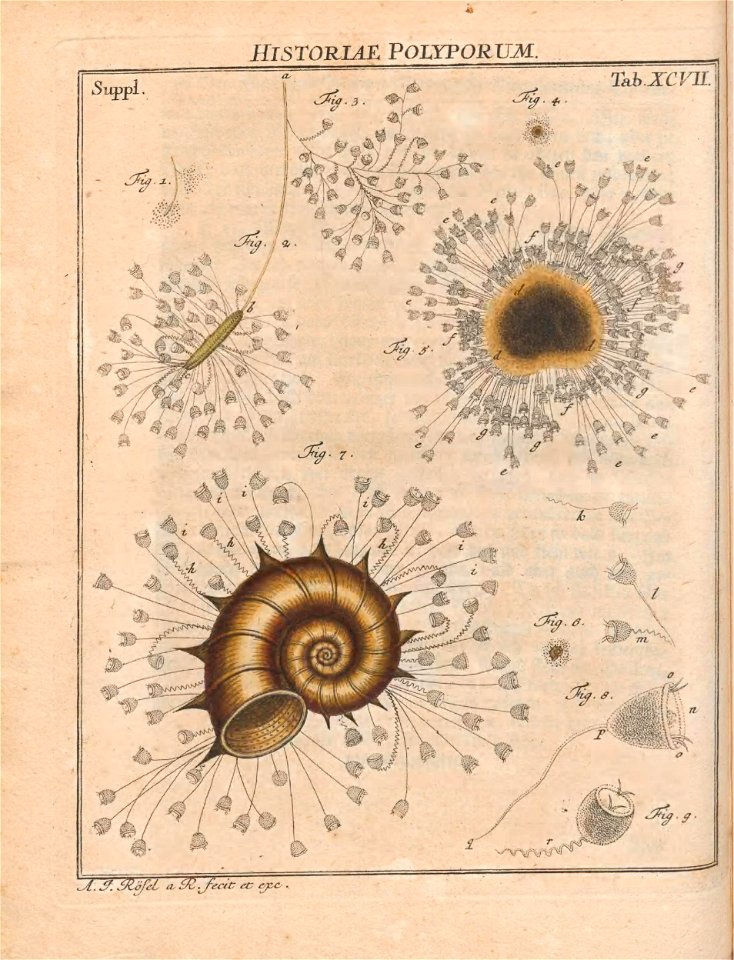 n791_w1150