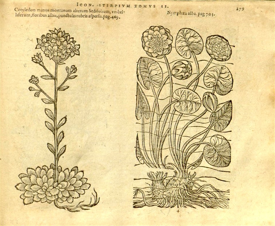 n1101_w1150
