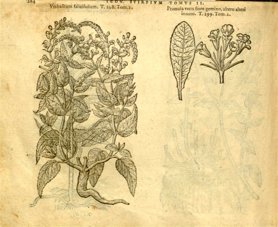 n1086_w1150