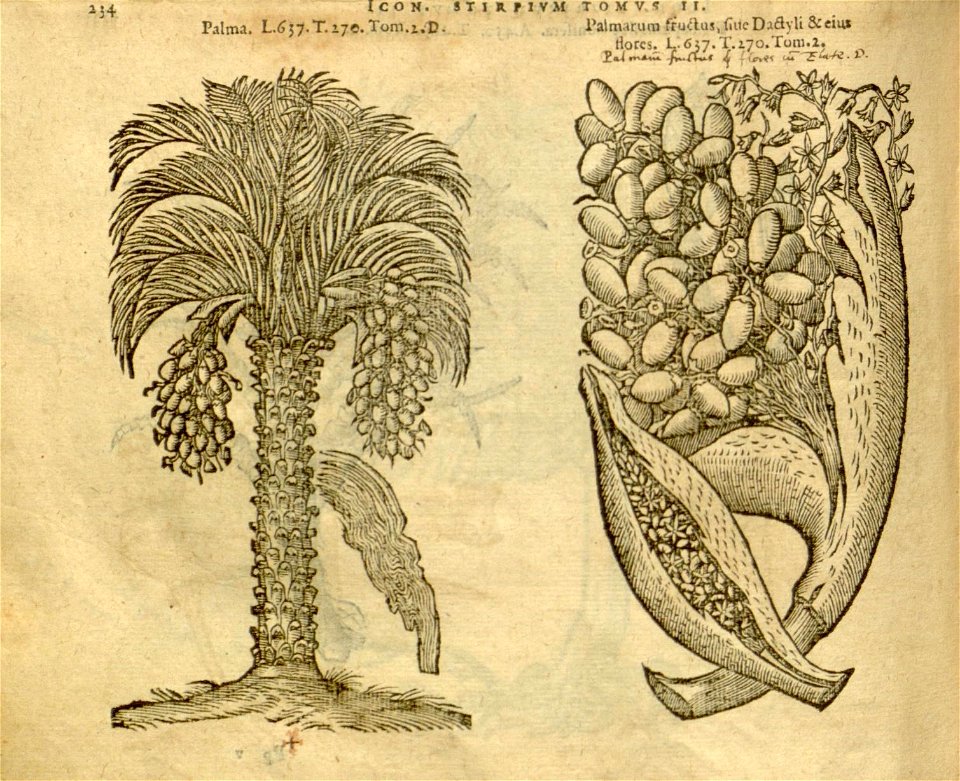 n1056_w1150